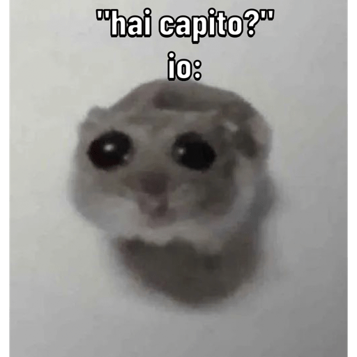 الهامستر اليائس (6h3xks4zcy)