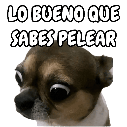 🐕🐶Perrito sin palabras 😬🙁 (x2snvkh9fb)