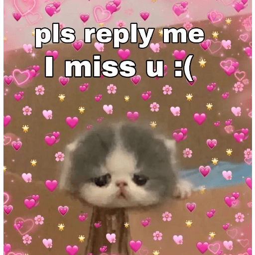 Pookiee Cat 😺🎀 (n93j67dpsm)