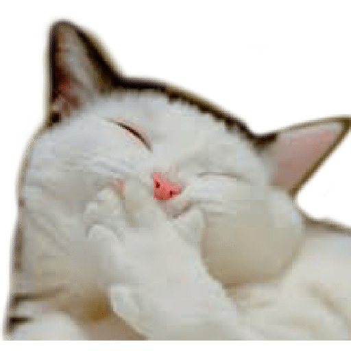 ☆funny pets (4chq59nzkr)