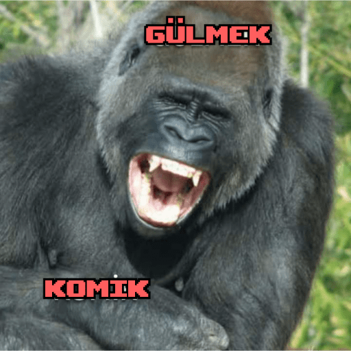 KOMIK GÜLMEK (v43k7z8nsp)