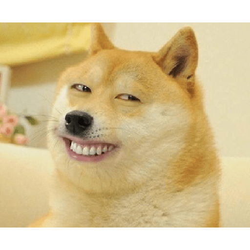 Doggo (jw9v5nm8pg)