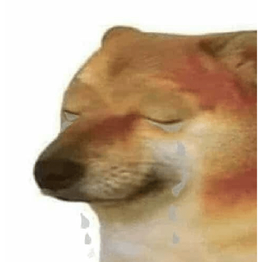 Doggo (nbh8fpmtk3)