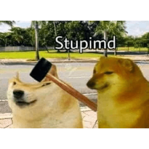 Doggo (p7xwngm6c9)