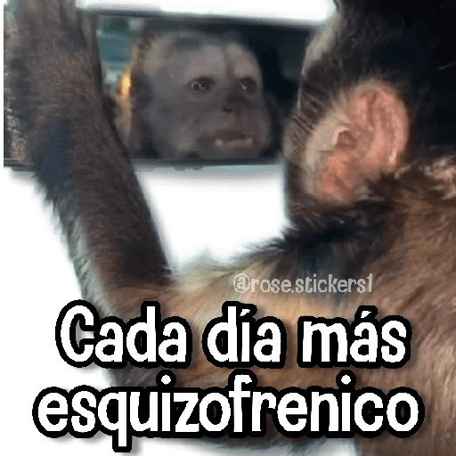 @rose.stickers! Cada día más esquizofrenico (xtcpzvfgkn)