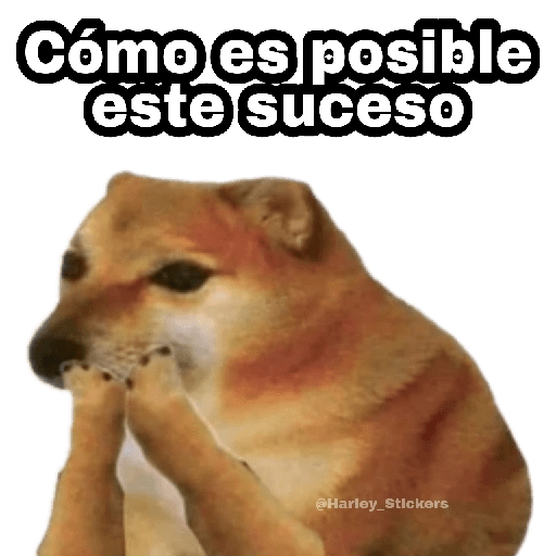 Cómo es posible este suceso @Harley_Stickers (k4qtx6v9wn)
