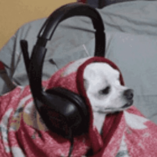 Perros Graciosos 😂🐶😜💥 (jmdgs47nzx)