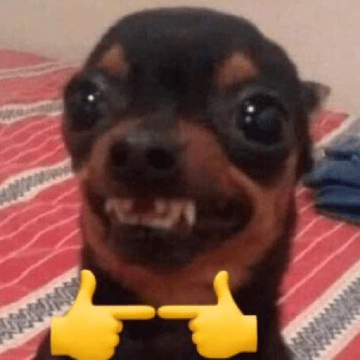 Pinscher e Chihuahua MEMES (mntzd7hyvf)