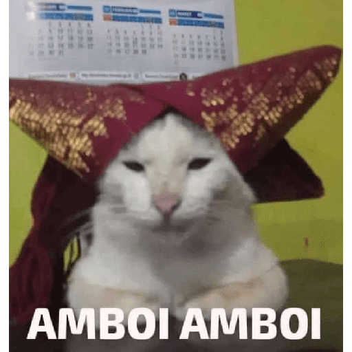 AMBOI AMBOI (c8bpy9jrv6)