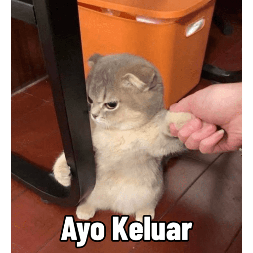 Ayo Keluar (7y83v2p4s5)