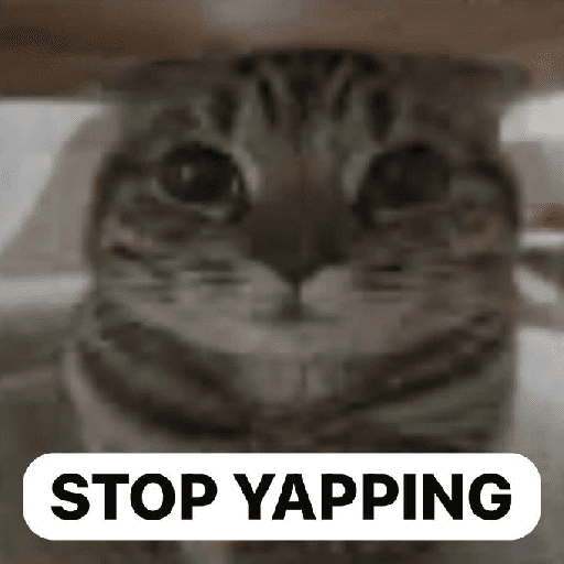 STOP YAPPING (ds65nbp72t)