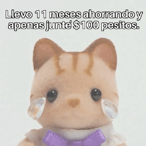 Llevo 11 meses ahorrando y apenas junte $100 pesitos. (9yc5szqghm)