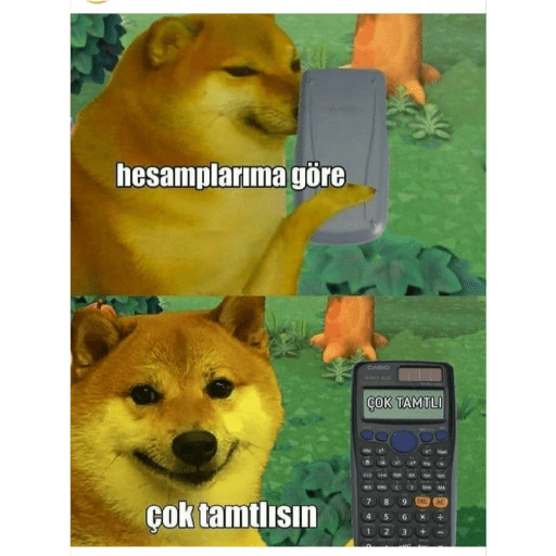 شيمس الحاسبة (vx4wnjm9f6)