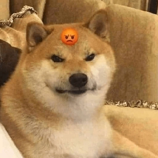 تفاعلات الكلاب 🐶✨ (x2rwp3y75c)