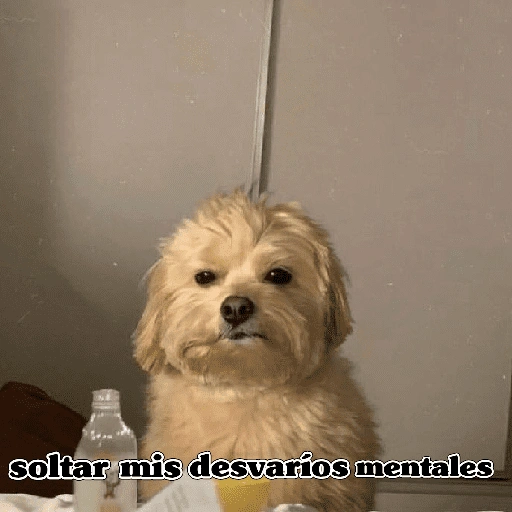 Hoy es viernes de... (4n2bhwk97s)