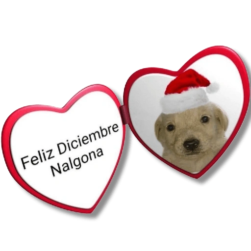 Merry December (4t986pfmbc)