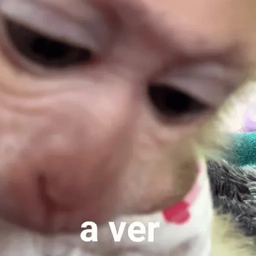 خليني أشوف (yzjskwhdf4)