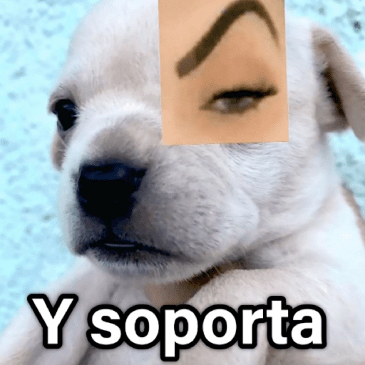 Y soporta (nfbx4qkhm3)