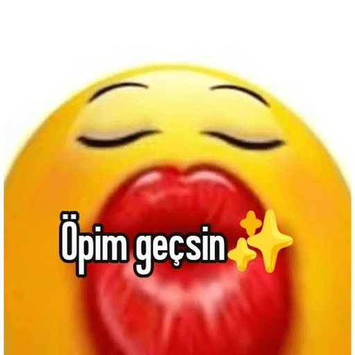 ここ Opim gecsin (rsvyw5637j)
