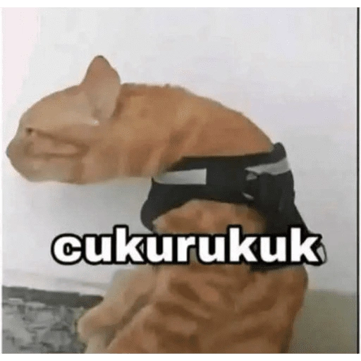 cukurukuk (bxhswfyp35)