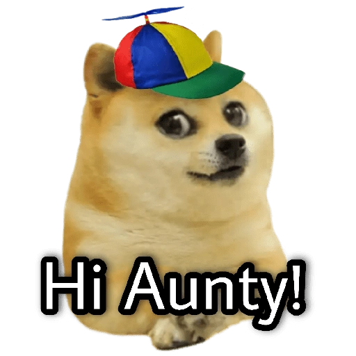 Hi Aunty! (cz8g65kv4x)