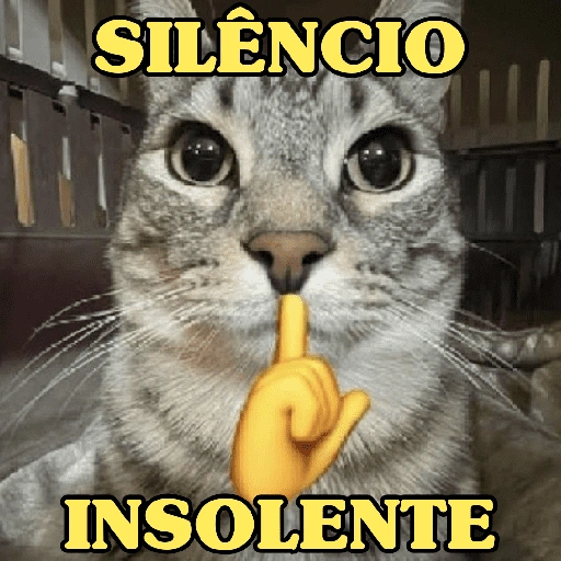 SILÊNCIO E INSOLENTE (xjycph49gz)