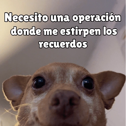 كلاب للدردشة 🐕 (8cv7byghsn)