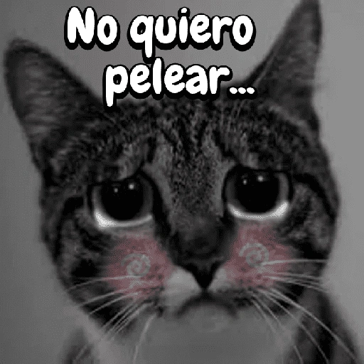 No quiero pelear... (bzjw9dh3k8)