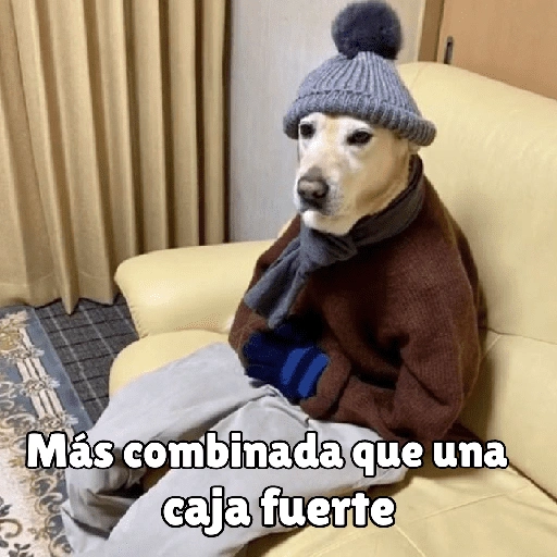 كلاب للدردشة 🐕 (zydfpgxw82)