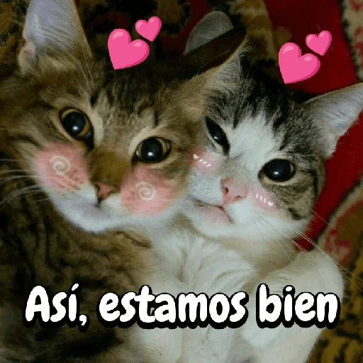 Así, estamos bien (smh6d3b9pk)