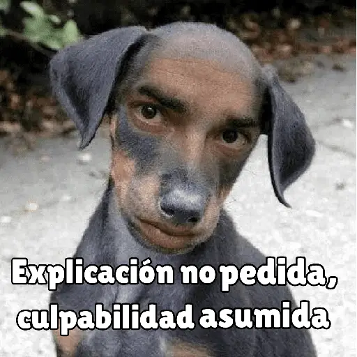 كلاب للدردشة 🐕 (tx7hb4pgqd)