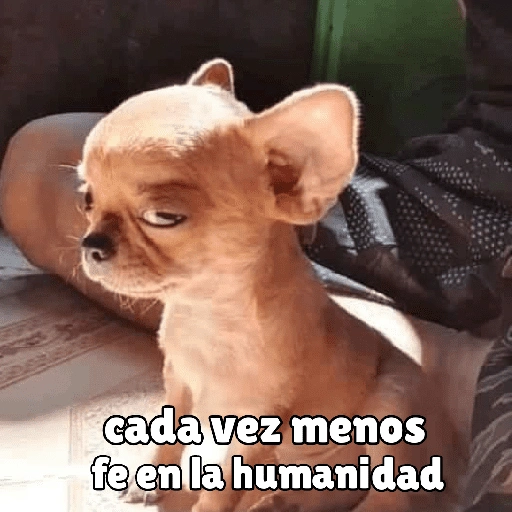 كلاب للدردشة 🐕 (5cjrz4gx39)