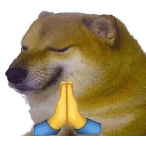 Meme dogs (9r7t5mw2fc)