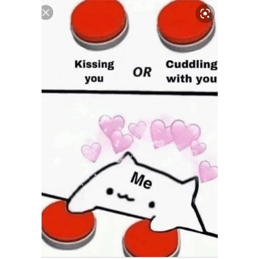 X Kissing you OR Me Cuddling with you (sfctpqm375)
