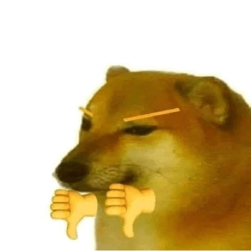 Meme dogs (syfqthb5v7)