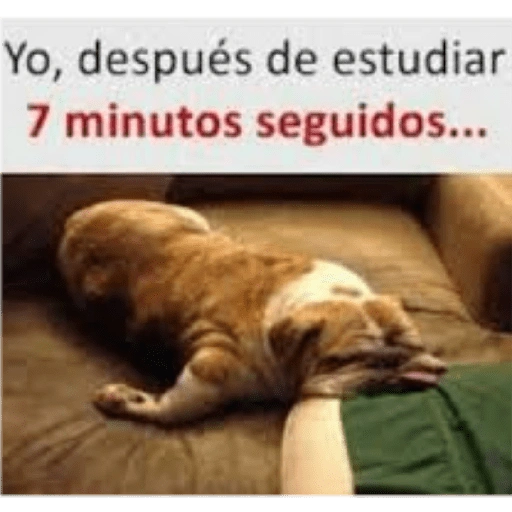 Yo, después de estudiar 7 minutos seguidos... (2xvdgs6j7h)