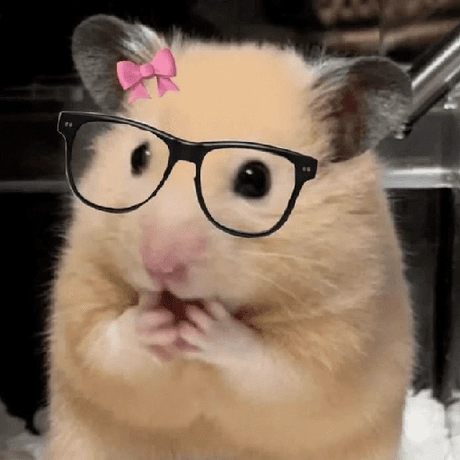 الهامستر 🐹 (yz5xs8rqm2)