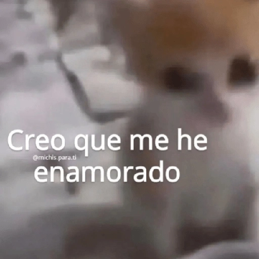 Creo que me he enamorado @michis.para.ti (68srhytzcj)