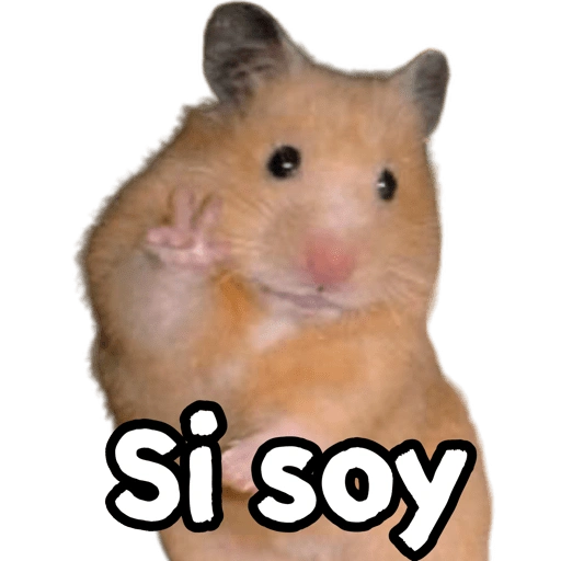 si soy (g5rtknv6wy)