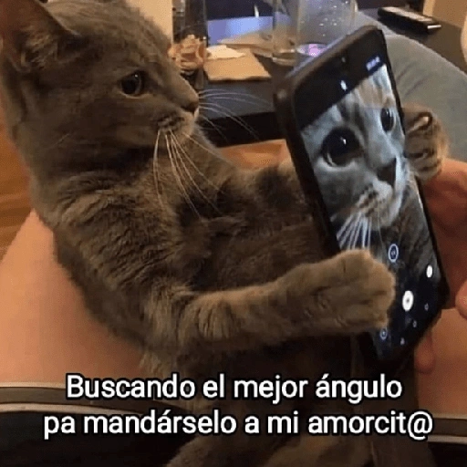 O Buscando el mejor ángulo pa mandárselo a mi amorcit@ (hkm6dzb2q9)