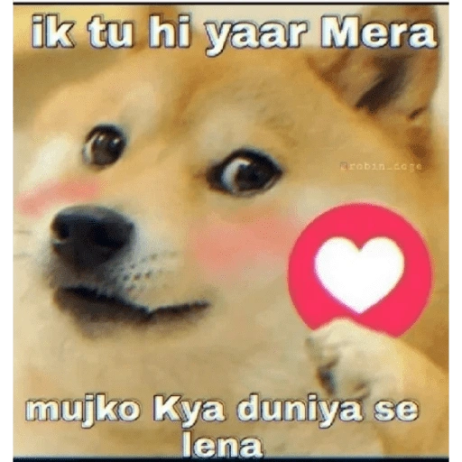 ik tu hi yaar Mera Brobin coge mujko Kya duniya se lena (bwq5msg4f6)
