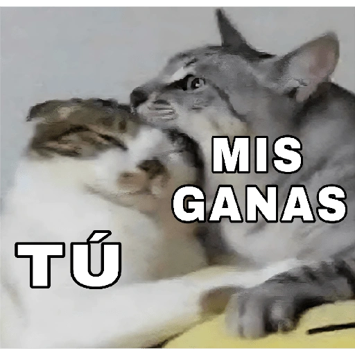 TÚ MIS GANAS (gf3vzjc7y9)