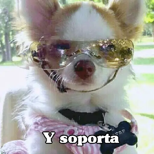 Y soporta (5fbdx63vsr)