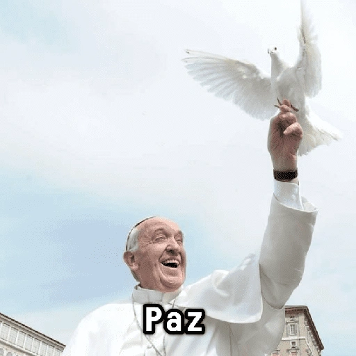 Paz (2k9rsh74w3)