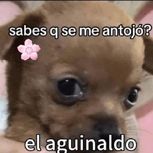 Para las girls 🌹💅👛💵✨ (kb4hxpz2y3)