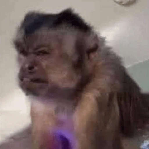 وجوه مضحكة 😹 (x42bhr6ky9)