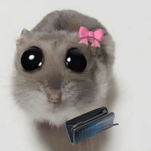 Rata triste Hámster Meme 🐹 (gw2fxtrmcd)