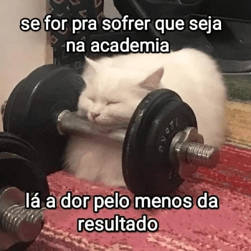 se for pra sofrer que seja na academia 481 lá a dor pelo (jqtcvp84hy)