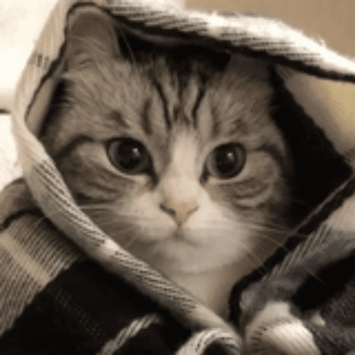 نظرة من غطاء دافئ (g5krh27npw)