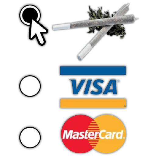 VISA MasterCard (q8gr9p6wvx)